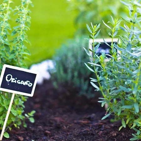 Nonna Giulina Castagnole delle Lanze