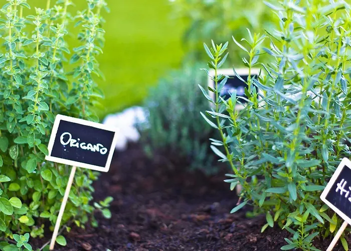 Nonna Giulina カスタニョーレ・デッレ・ランツェ